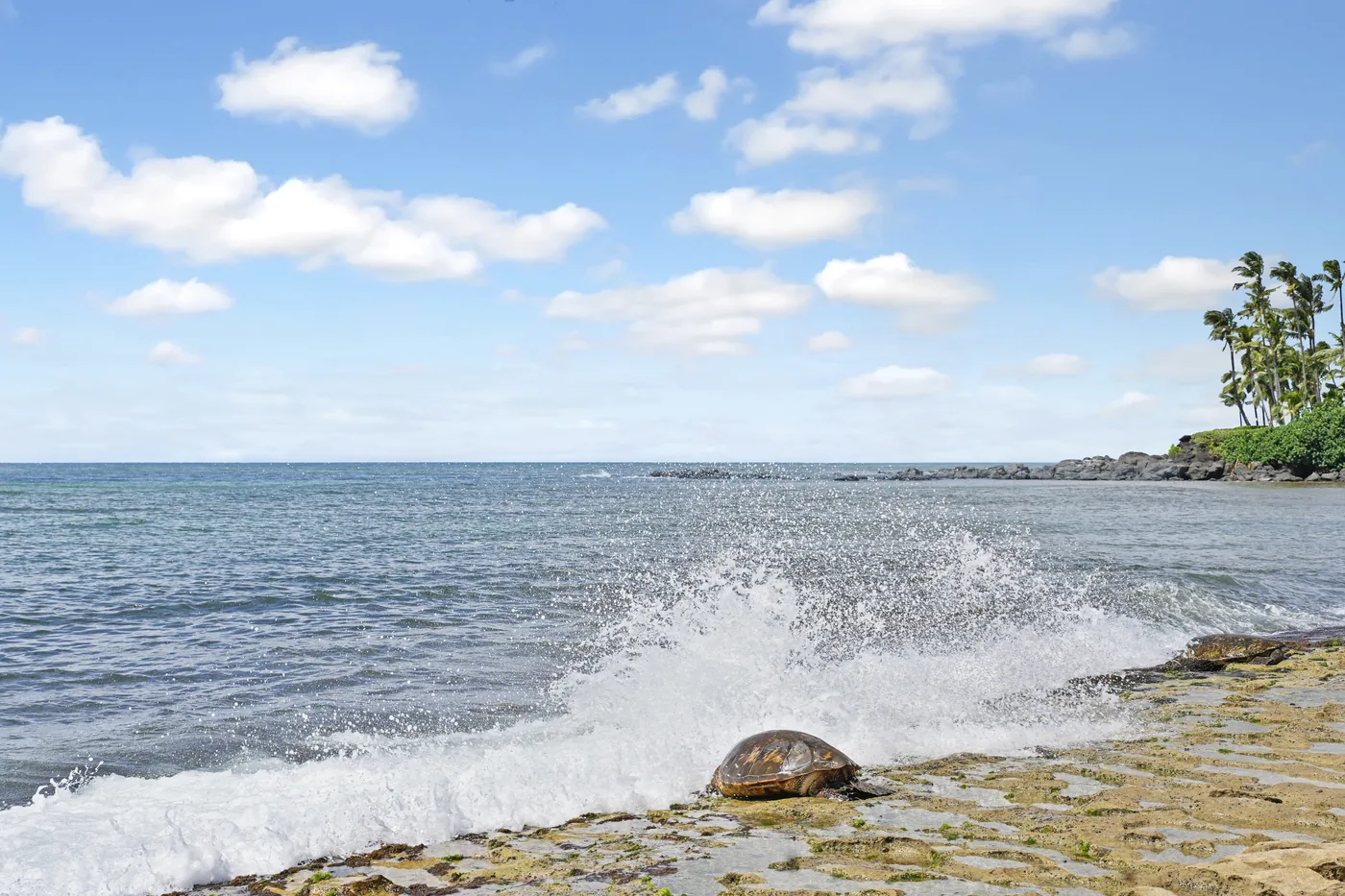 Sunlit shoreline with gentle waves — Island Photography