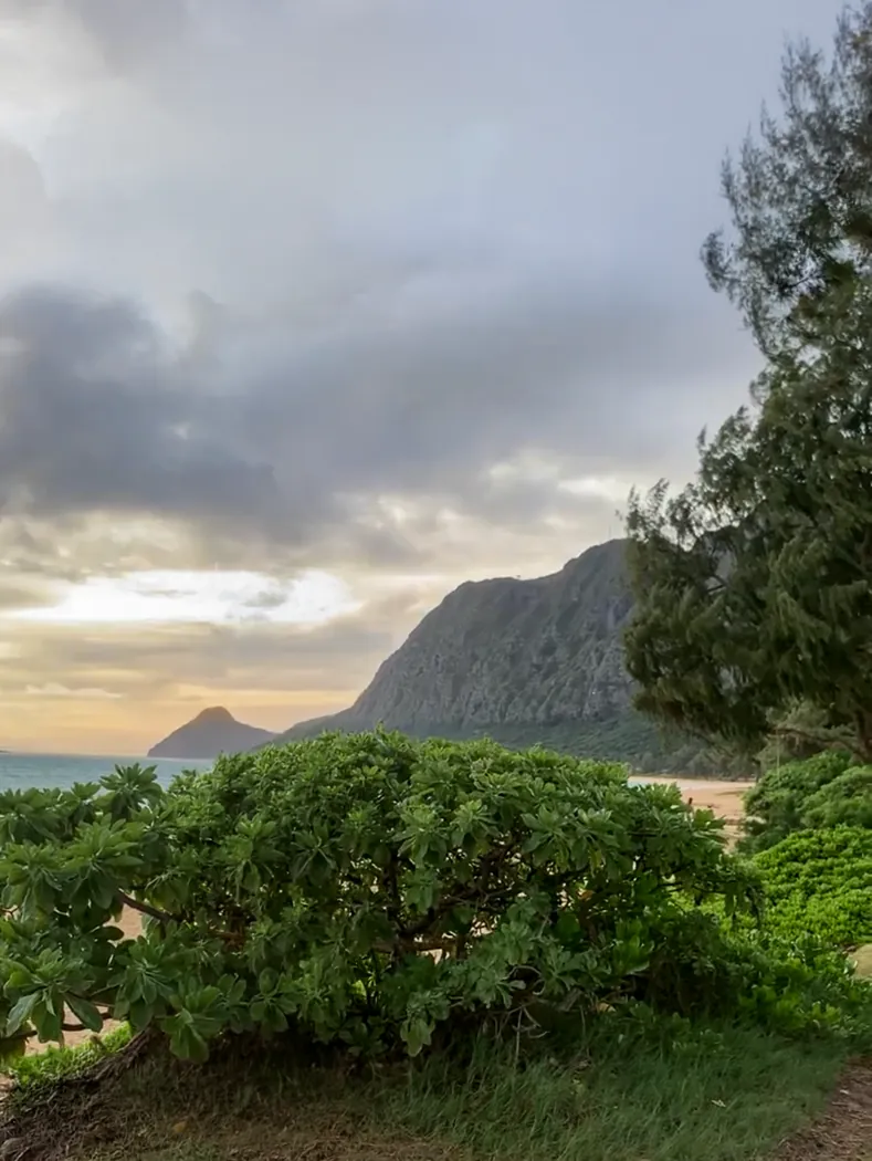 Kailua shoreline framed by palms at sunset