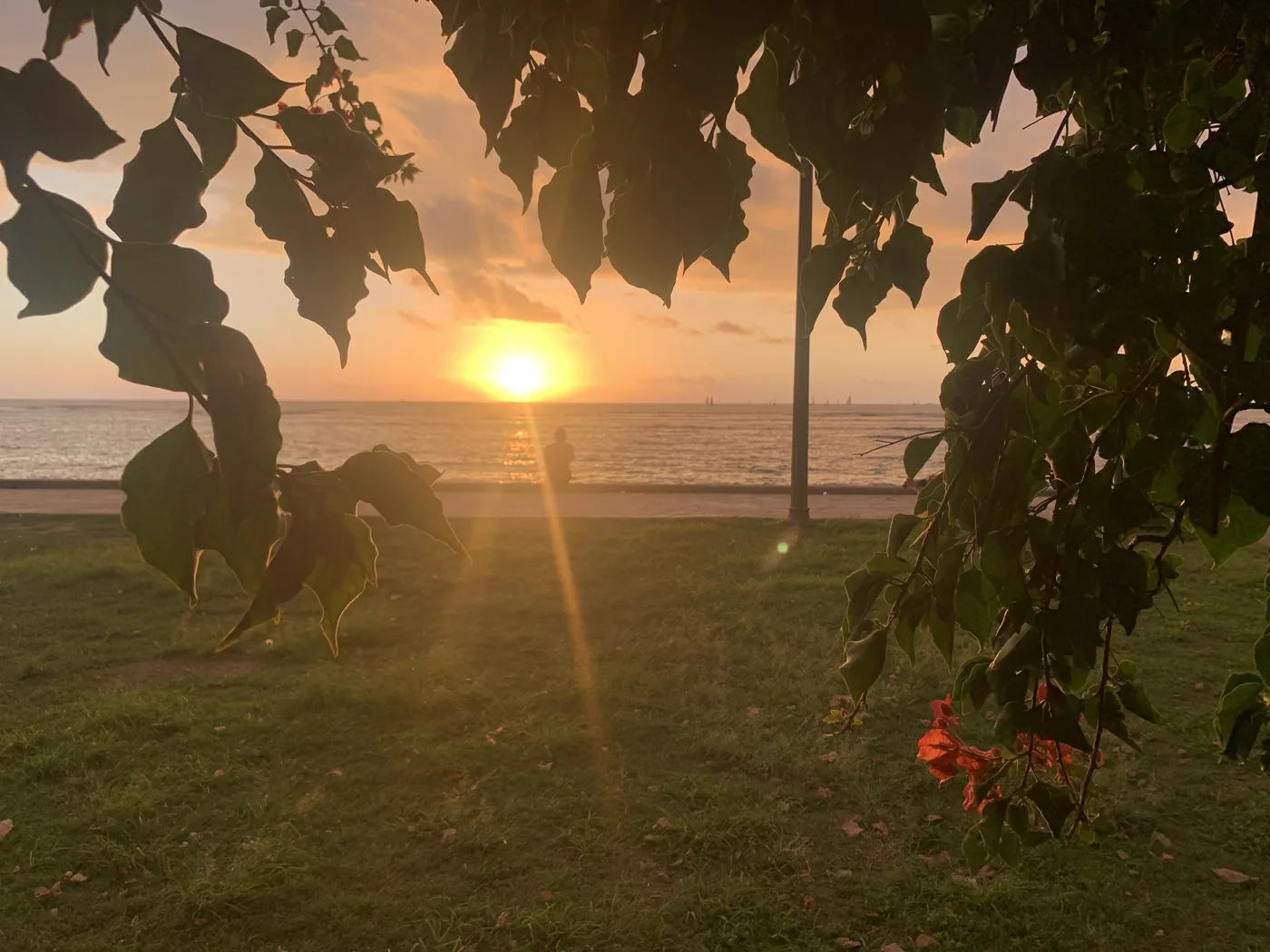 Waikiki sunset framed by palms and shoreline